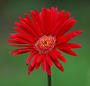 petite image de test 1