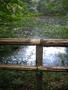 openphotonet_135_3591_IMG