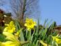 opl_DSC00510