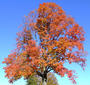 image de test 2