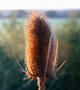 image de test 3