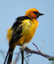image de test 4